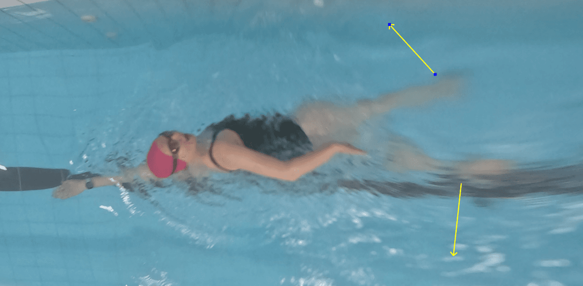 SwimFlow treneris